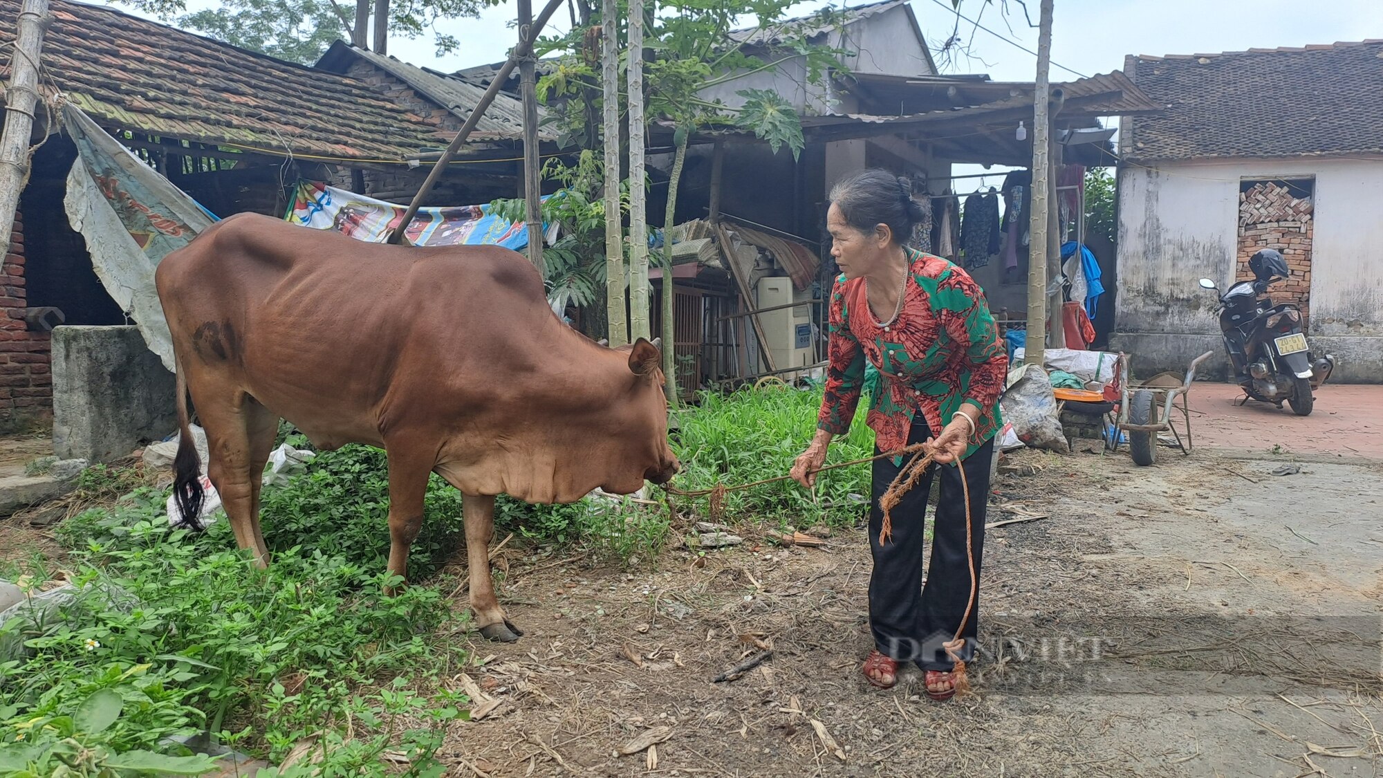 Chỉ trong 2 năm, một huyện của Thái Nguyên đã giảm 905 hộ nghèo- Ảnh 3.