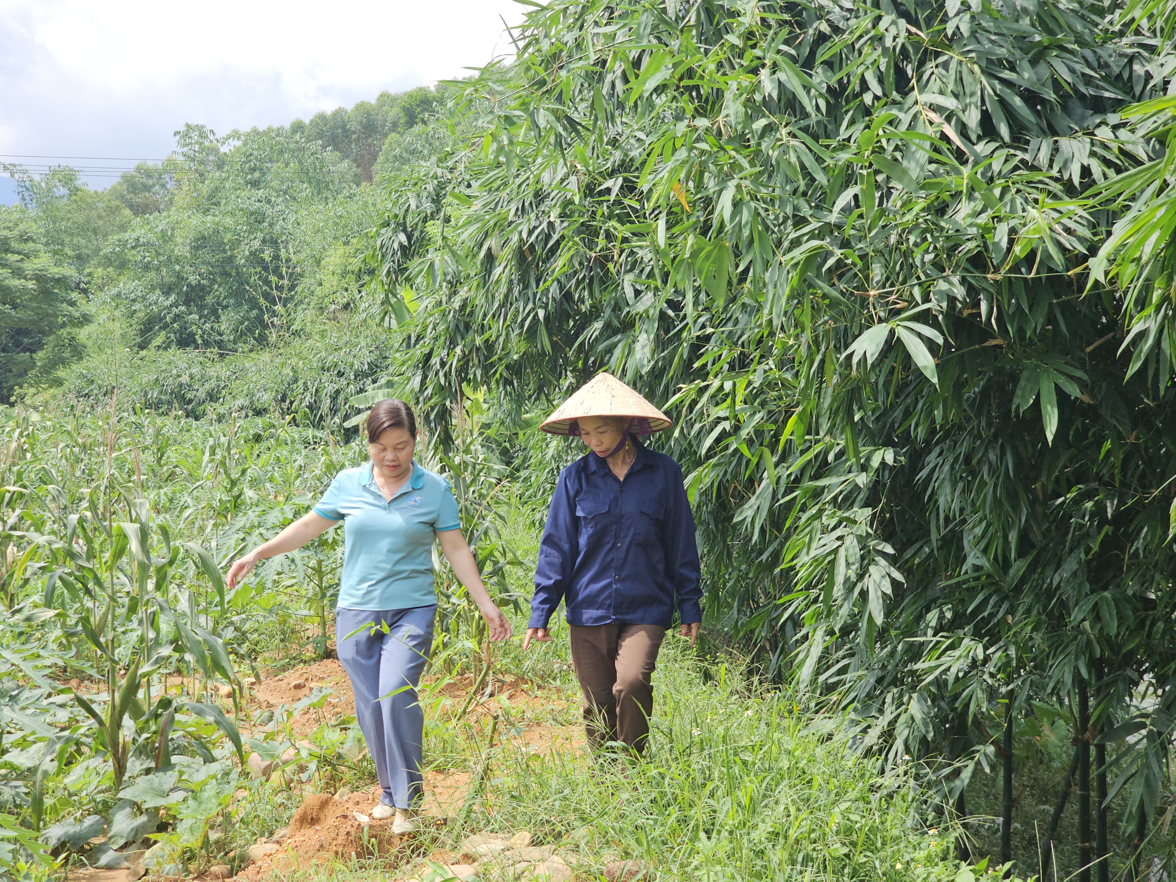 Mẹ đơn thân có "của ăn của để" nhờ khởi nghiệp từ nông sản địa phương- Ảnh 3.