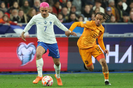 Holandês Francês.jpg