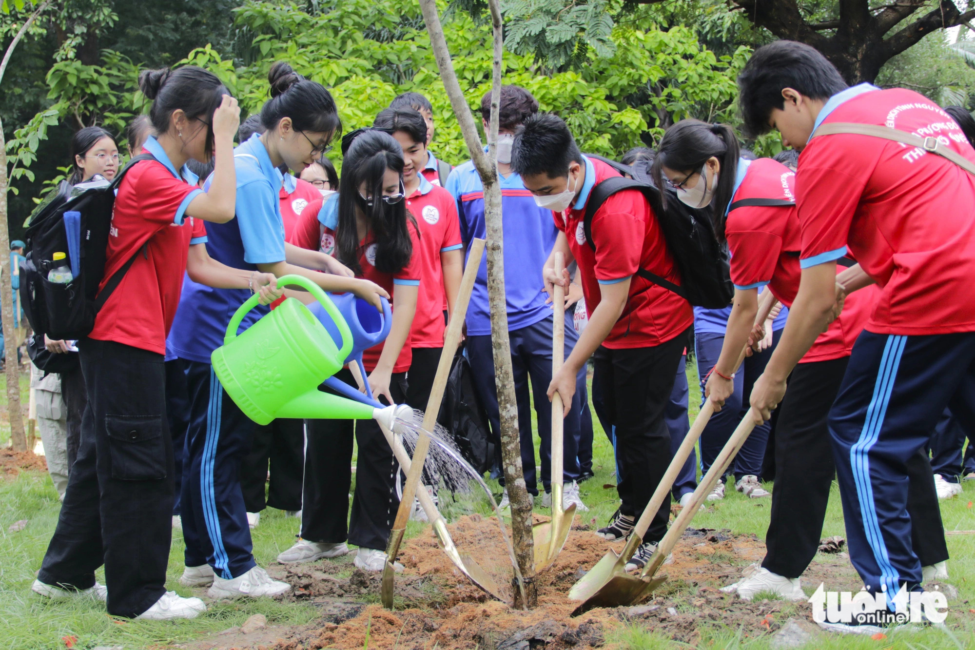 Nhiều thanh niên, sinh viên các trường đại học cũng tham gia hoạt động - Ảnh: TIẾN QUỐC