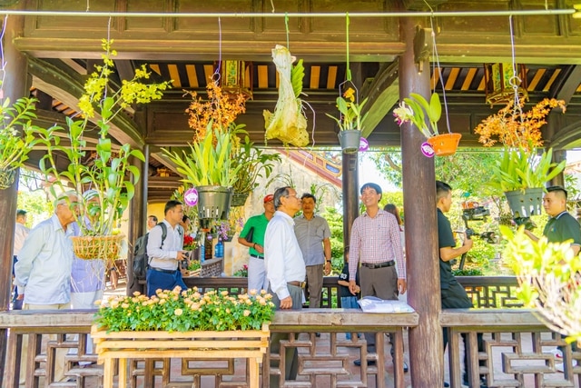 Cây cảnh và phong lan ba miền "đọ dáng, khoe sắc" tại Hoàng cung Huế - Ảnh 2.