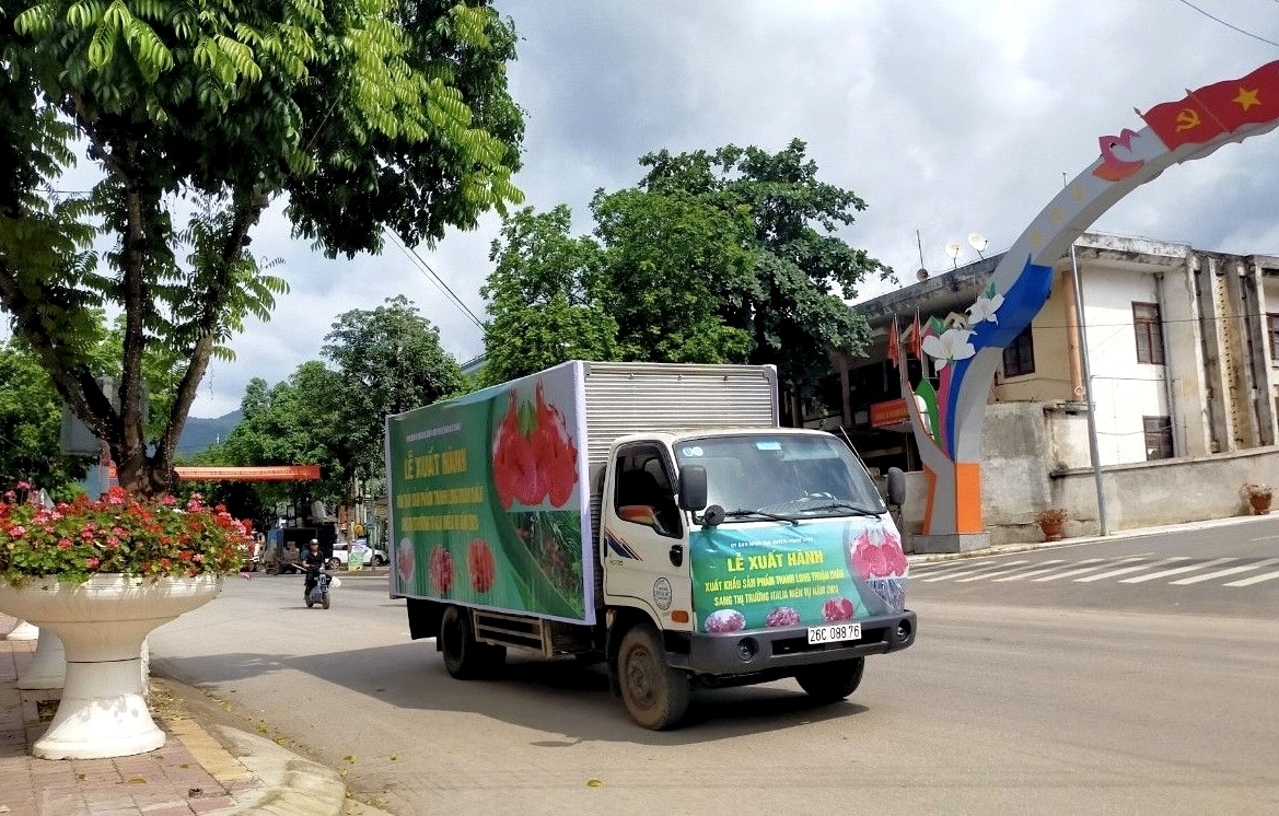 Xuất hành sản phẩm thanh long ruột đỏ.