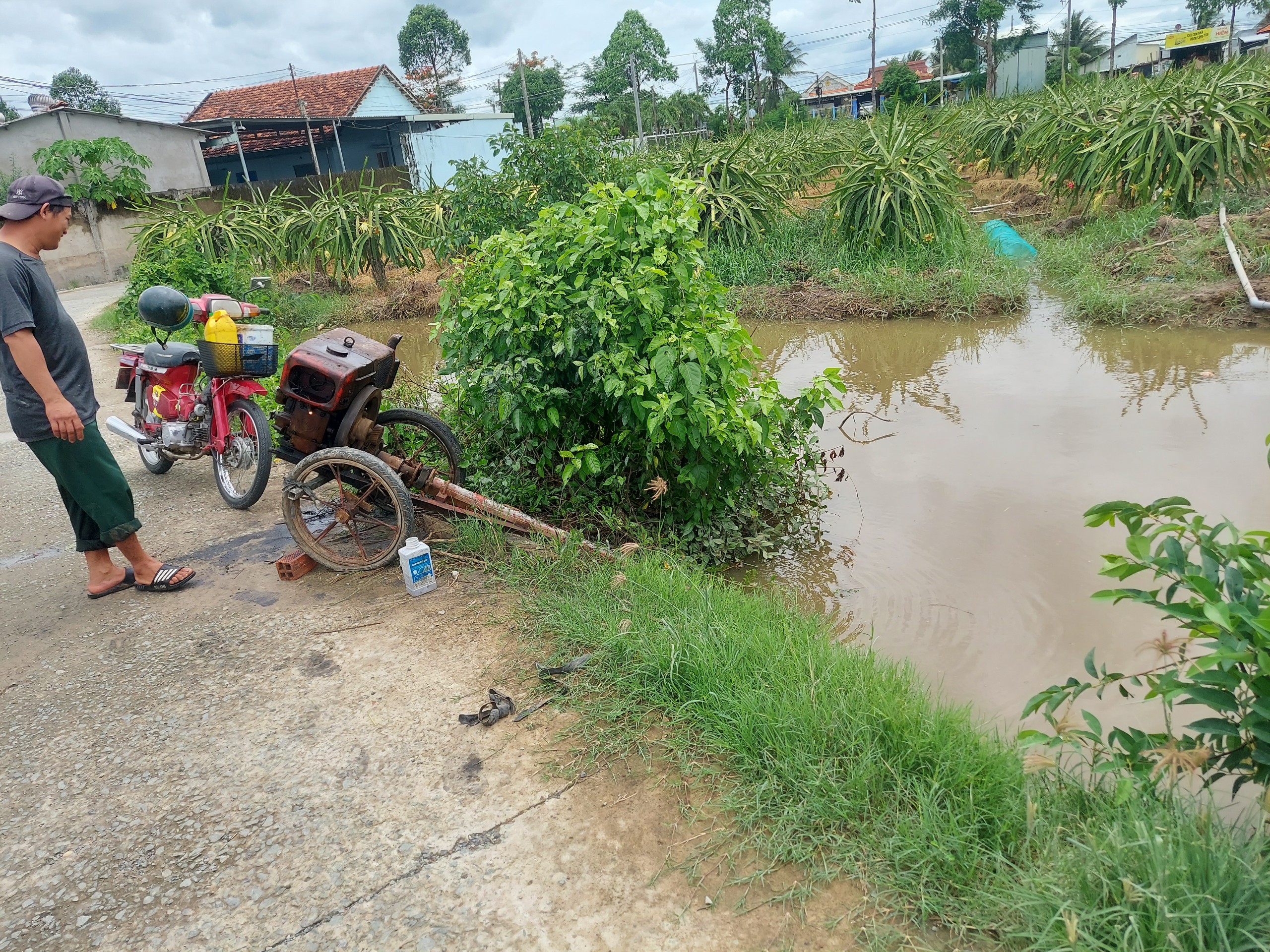 Mưa lớn kéo dài nhiều giờ, thủ phủ thanh long của tỉnh Long An bị ngập trắng xóa- Ảnh 3.