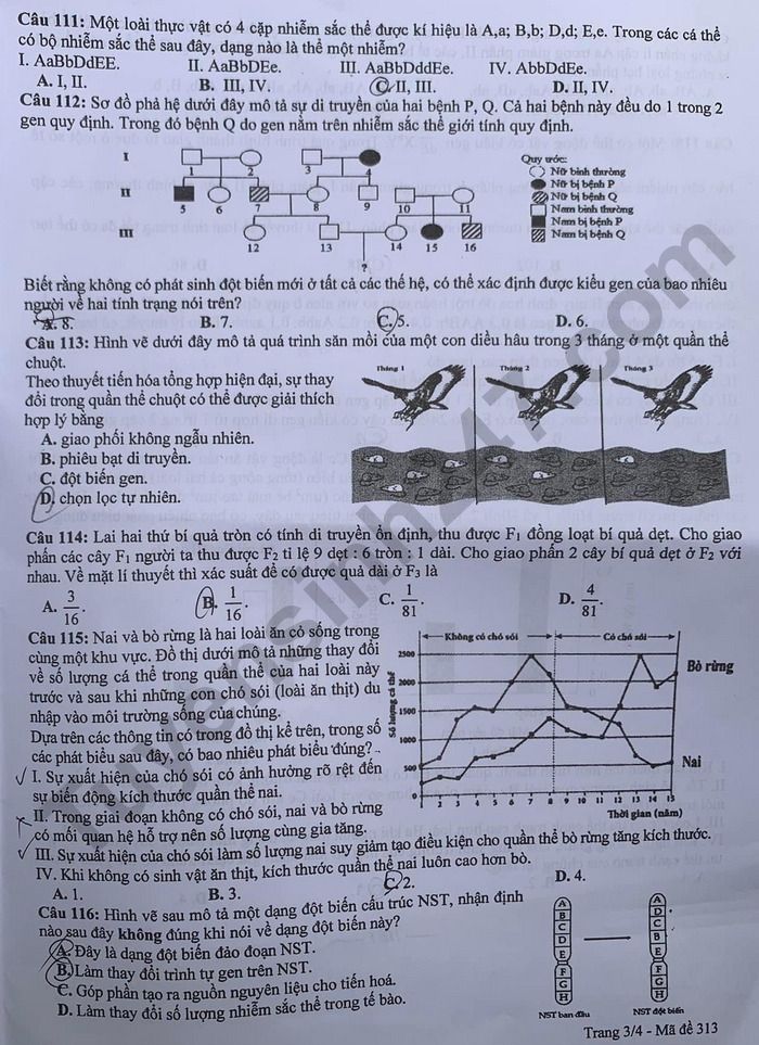 Đề thi thử môn Sinh học tốt nghiệp THPT 2024 có đáp án của Hưng Yên- Ảnh 3.