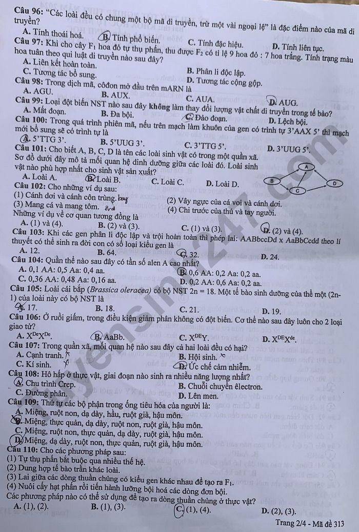 Đề thi thử môn Sinh học tốt nghiệp THPT 2024 có đáp án của Hưng Yên- Ảnh 2.