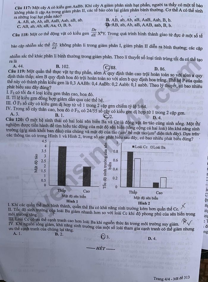 Đề thi thử môn Sinh học tốt nghiệp THPT 2024 có đáp án của Hưng Yên- Ảnh 4.