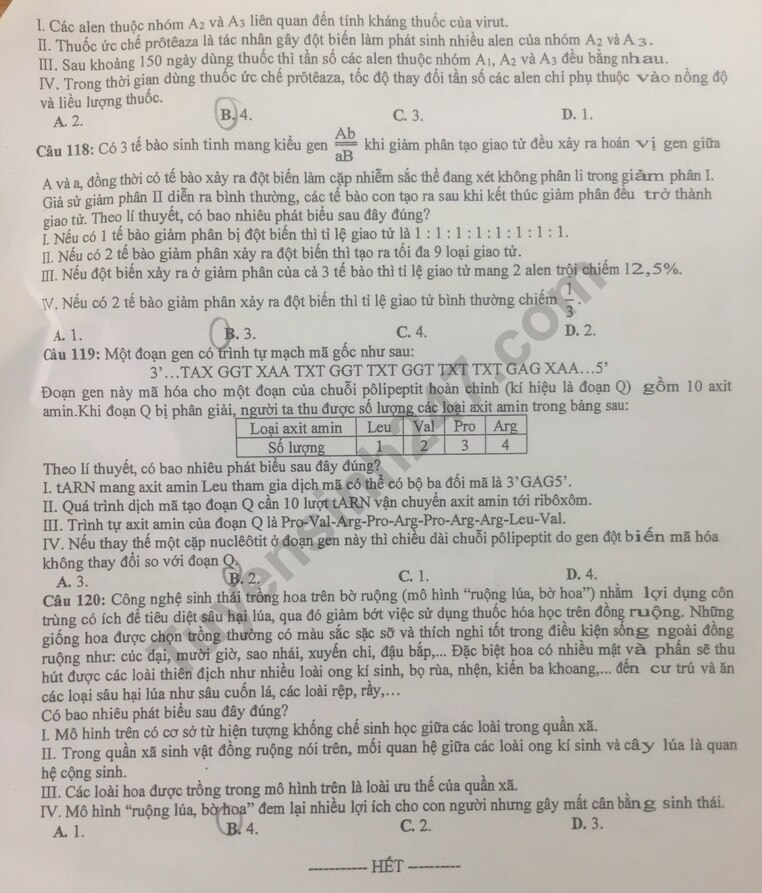 Đề thi thử môn Sinh học tốt nghiệp THPT 2024 có đáp án của Hà Nội - Ảnh 5.