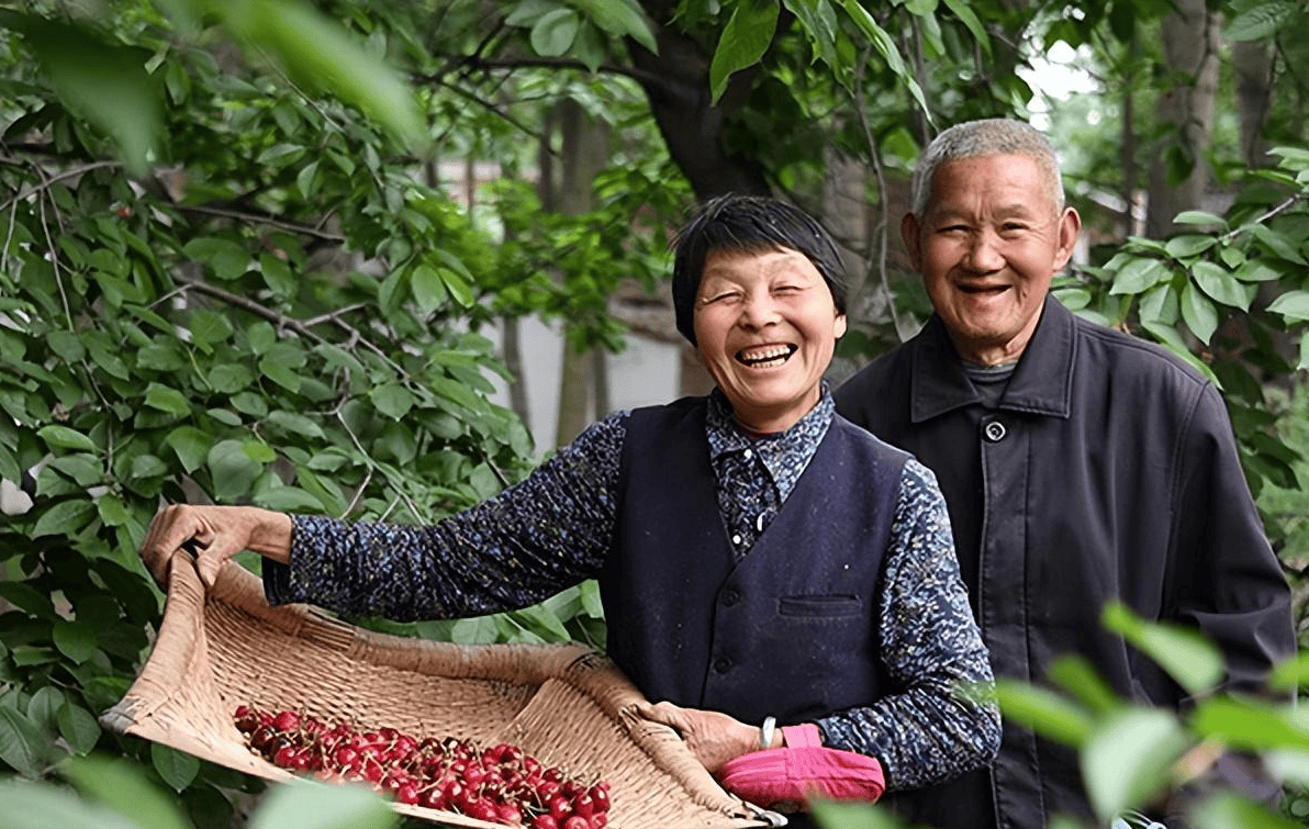 Bán nhà thành phố về quê nghỉ hưu, U75 than thở: Lương 35 triệu đồng/tháng vẫn sống chật vật vì 1 sai lầm - Ảnh 2.