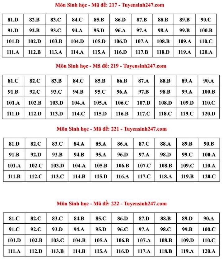 Đáp án tham khảo môn Sinh học tốt nghiệp THPT năm 2024 - mã đề 217, 219, 221, 222 (tiếp tục cập nhật). Ảnh: Tuyensinh247 