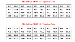 sociální zabezpečení 4.jpg