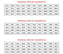 sociální zabezpečení 7.jpg