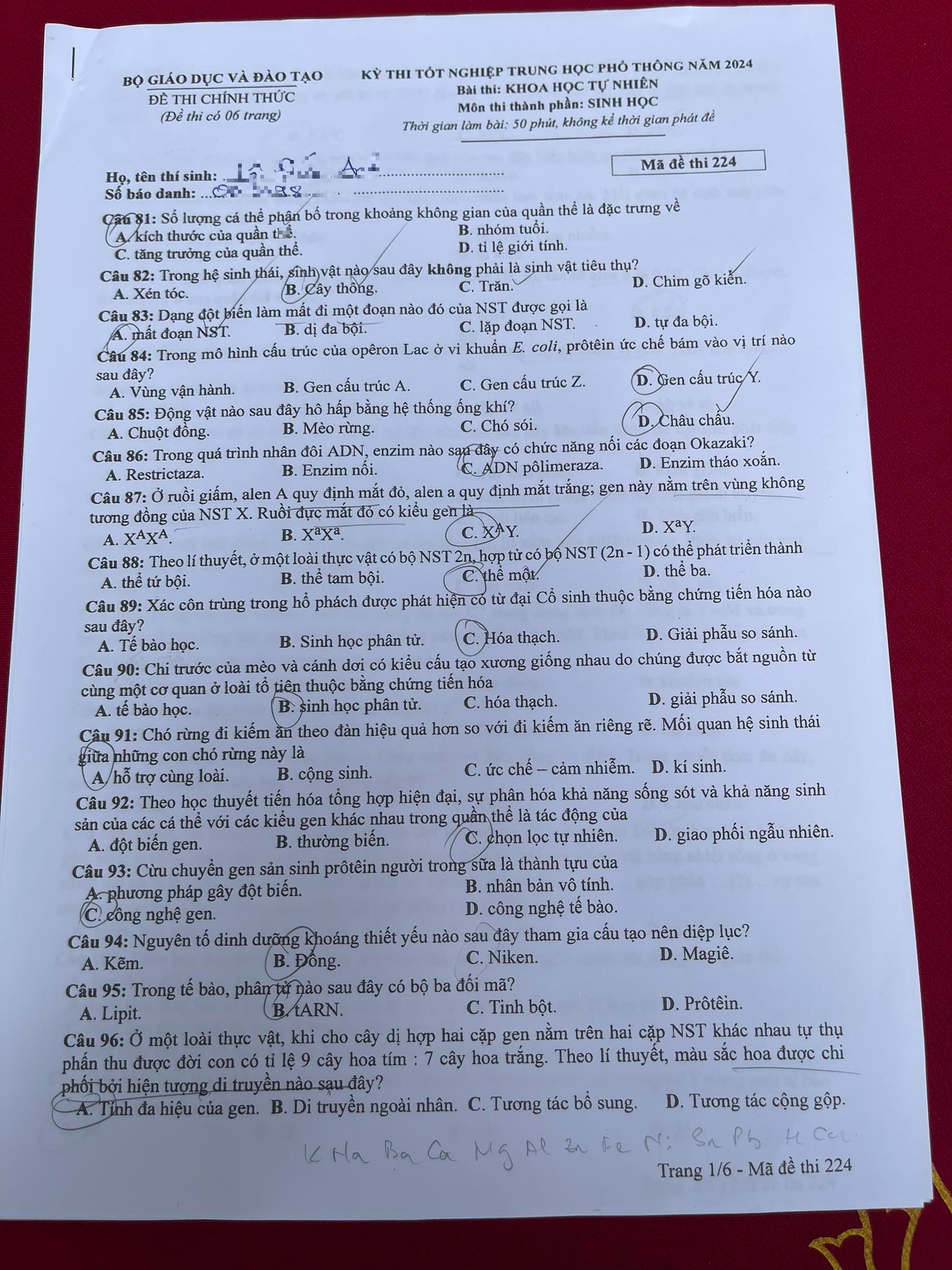 Đề thi môn Vật lý, Hóa học, Sinh học tốt nghiệp THPT 2024 nhanh nhất- Ảnh 22.