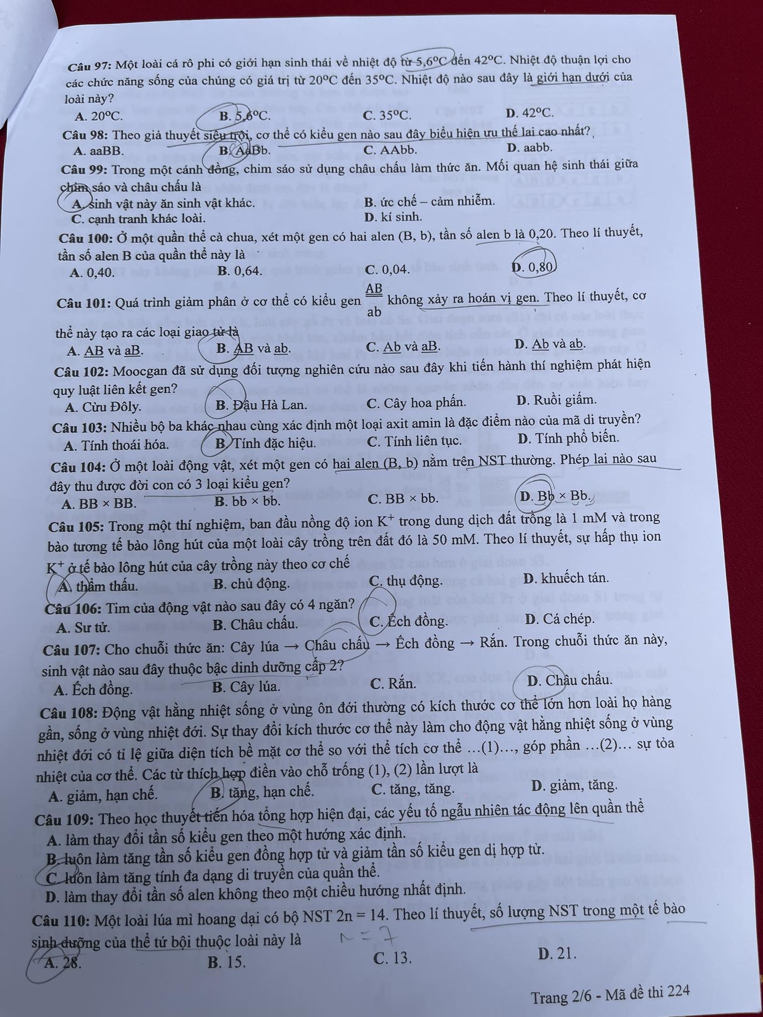 Đề thi môn Vật lý, Hóa học, Sinh học tốt nghiệp THPT 2024 nhanh nhất- Ảnh 23.