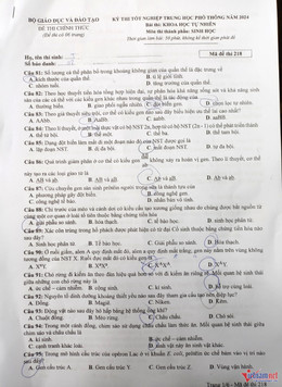 W-Sinh 1.jpg