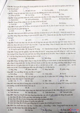 W-Sinh 2.jpg