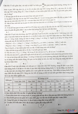 W-Sinh 3.jpg