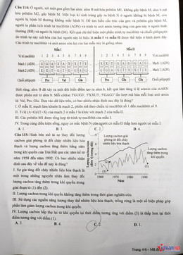 W-Sinh 4.jpg