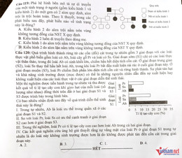 W-Sinh 6.jpg