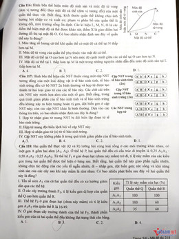 W-Sinh 5.jpg