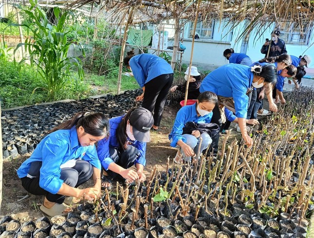 Tuổi trẻ Đắk Lắk cao điểm tình nguyện vì văn minh đô thị ảnh 7