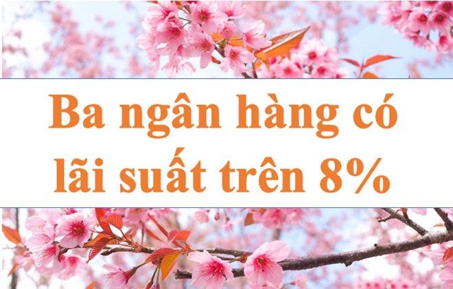 Lãi suất ngân hàng hôm nay 19.6: Ba ngân hàng có lãi suất trên 8%