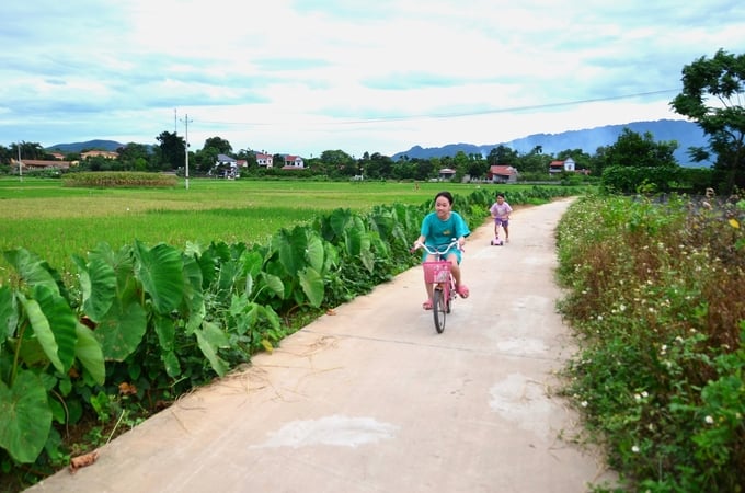 Con đường quanh đồng lúa tái sinh thành nơi mọi người dạo chơi, tập thể dục. Ảnh: Dương Đình Tường.