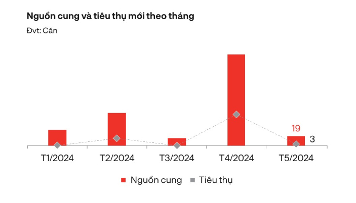 chi co 19 san pham thap tang gia nhap nguon cung moi tai thi truong bds phia nam hinh 1