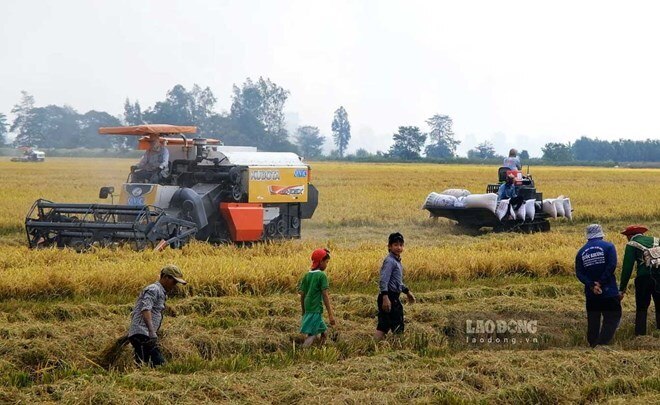 Chưa thu thuế VAT 5% cũng là một cách chia sẻ, chăm lo cho nông dân