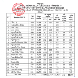 da nang grade 10 benchmark.png