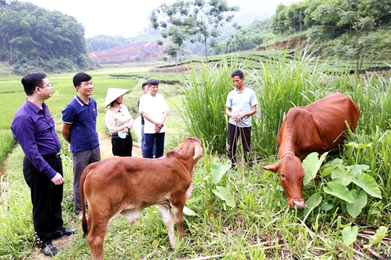 Thông qua việc triển khai các chính sách dân tộc, đến nay đời sống đồng bào DTTS được nâng lên, huyện Đại Từ không còn xã, xóm đặc biệt khó khăn