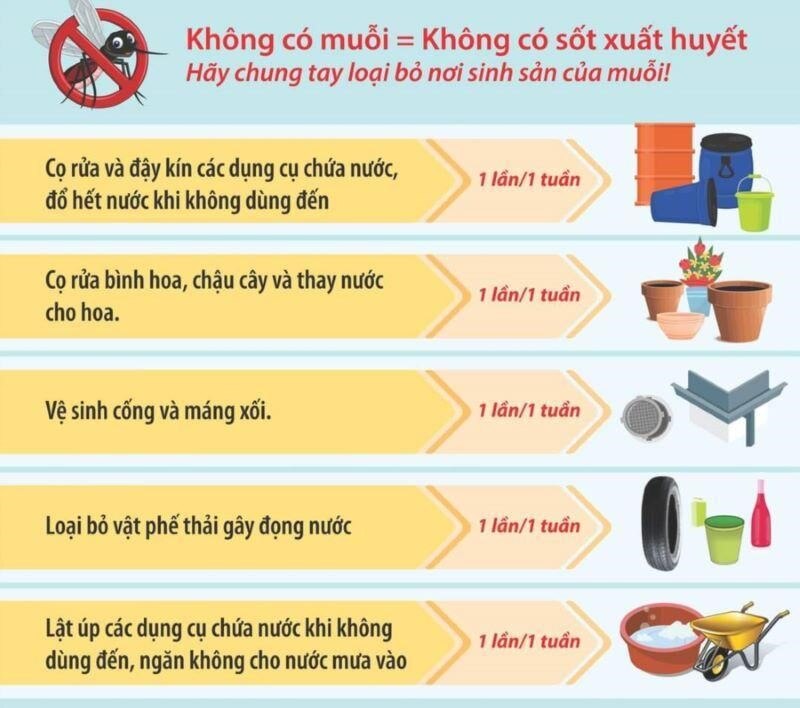 Loại bỏ nơi sinh sản của muỗi là cách phòng bệnh sốt xuất huyết hiệu quả