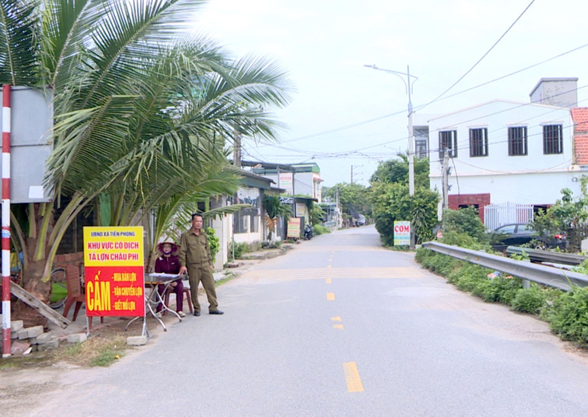 Sự kiện - Quảng Ninh: Dịch tả lợn châu Phi lây lan tại 4 địa phương