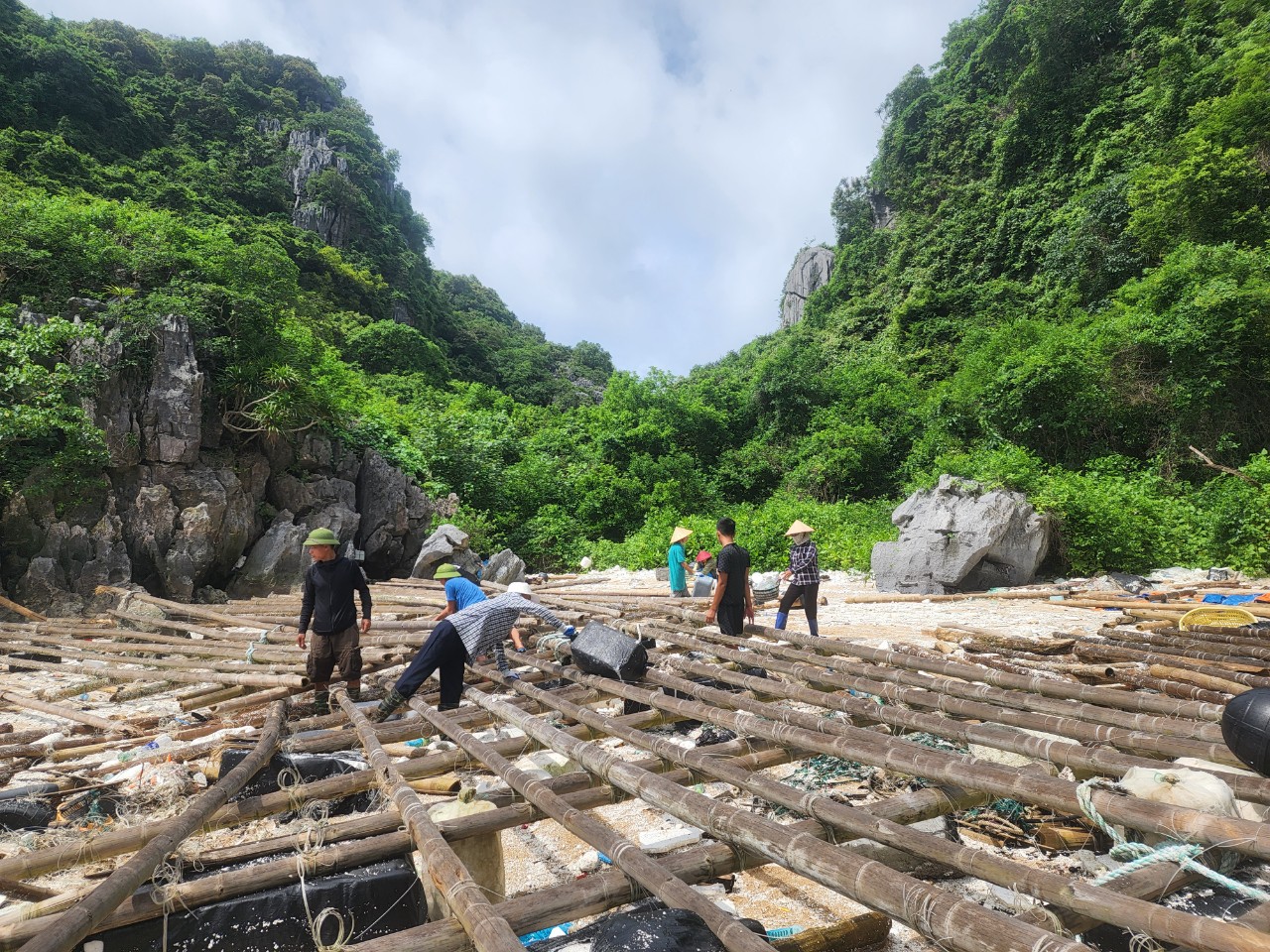 Hạ Long đã thu dọn hơn 8 tấn rác trôi vào bờ
- Ảnh 1.