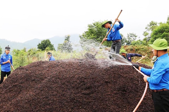 Hỗ trợ sinh kế cho 167 hộ nghèo ở vùng sâu vùng xa Đam Rông ảnh 1