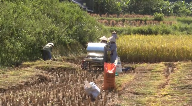 Huyện miền núi Thạch An (Cao Bằng) triển khai dự án, chính sách giảm nghèo bền vững ảnh 1