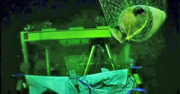 Israël ontdekt oudste scheepswrak onder de diepzee, geschat op 3.300 jaar oud - Foto 1. Israel phát hiện xác tàu cổ nhất dưới lòng biển sâu, ước tính 3.300 năm tuổi- Ảnh 1.