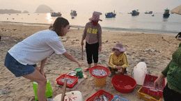 Turismo em Phu Yen.gif