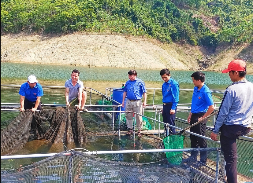 Lang Văn Mão, một chàng trai 8X người dân tộc Thái đã cùng với những trang lứa lập nên Hợp tác xã Nông nghiệp dịch vụ Hủa Na (có trụ sở ở bản Tục Pang, xã Đồng Văn) để phát triển chăn nuôi cá lồng lòng hồ với nhiều giống cá bản địa có giá trị cao