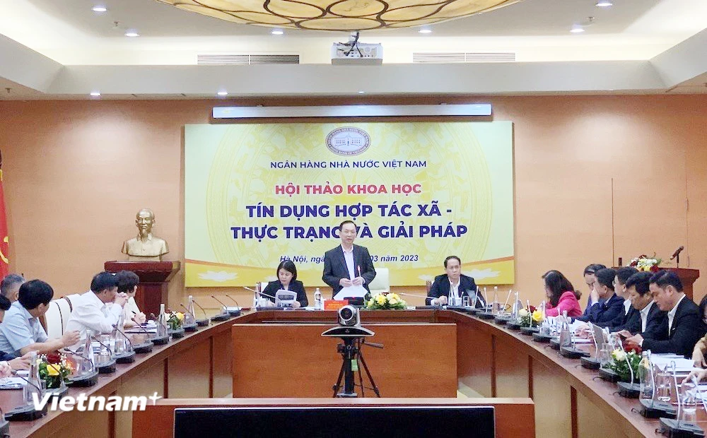 Lãnh đạo Ngân hàng Nhà nước: Tập trung tín dụng cho các hợp tác xã ảnh 1