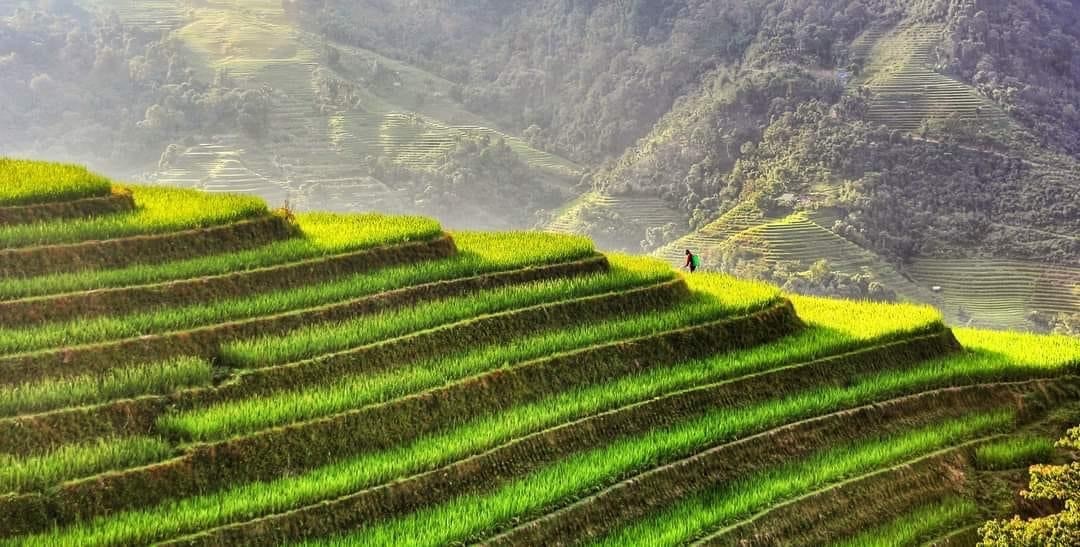 Lồng ghép với các chương trình mục tiêu để tăng cường hiệu quả khuyến công.Nguồn:ITN