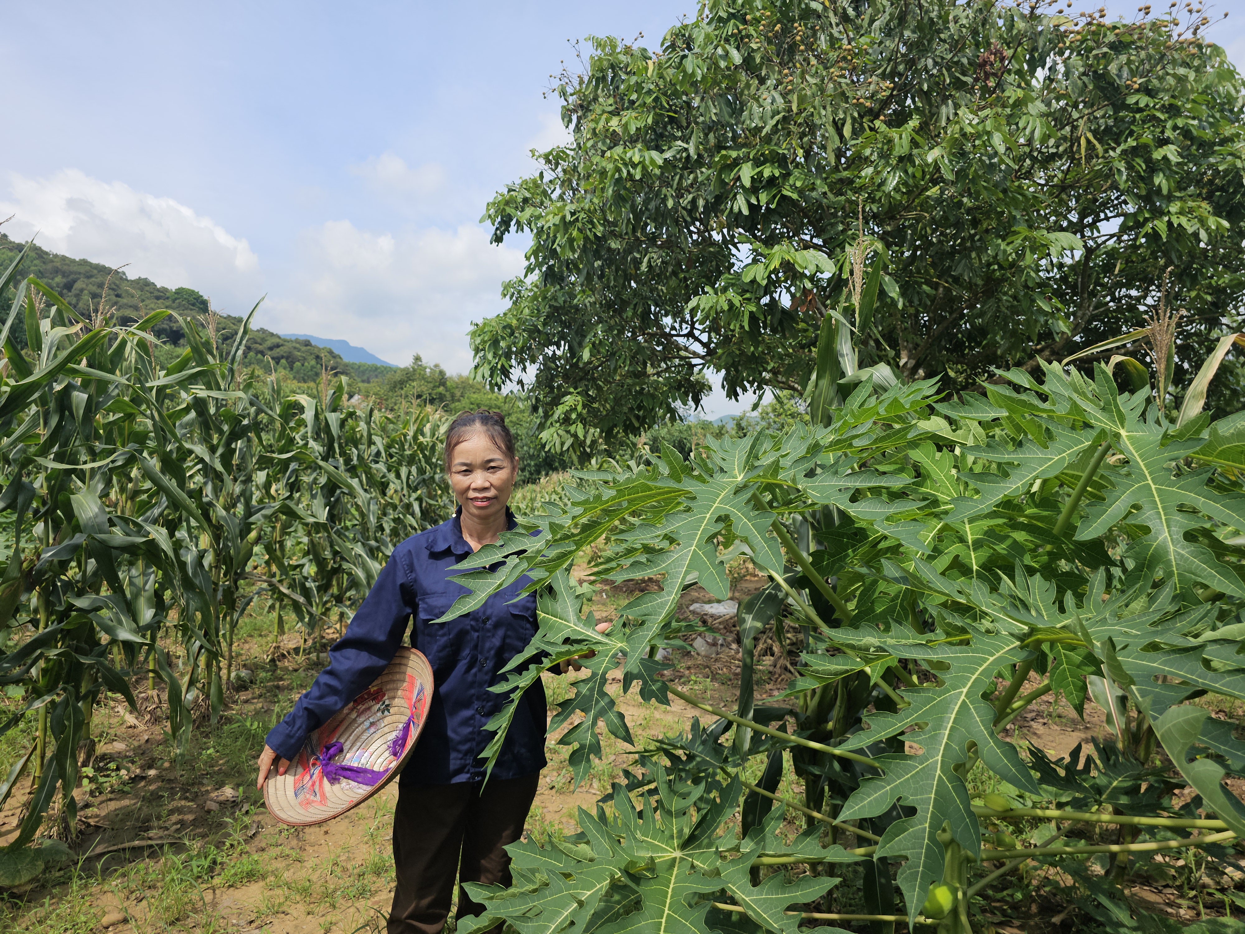 Mẹ đơn thân có "của ăn của để" nhờ khởi nghiệp từ nông sản địa phương- Ảnh 1.