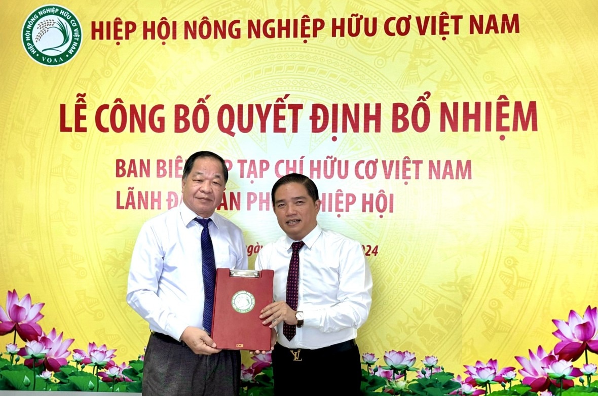 nha bao do ngoc thi duoc bo nhiem pho tong bien tap tap chi huu co viet nam hinh 1