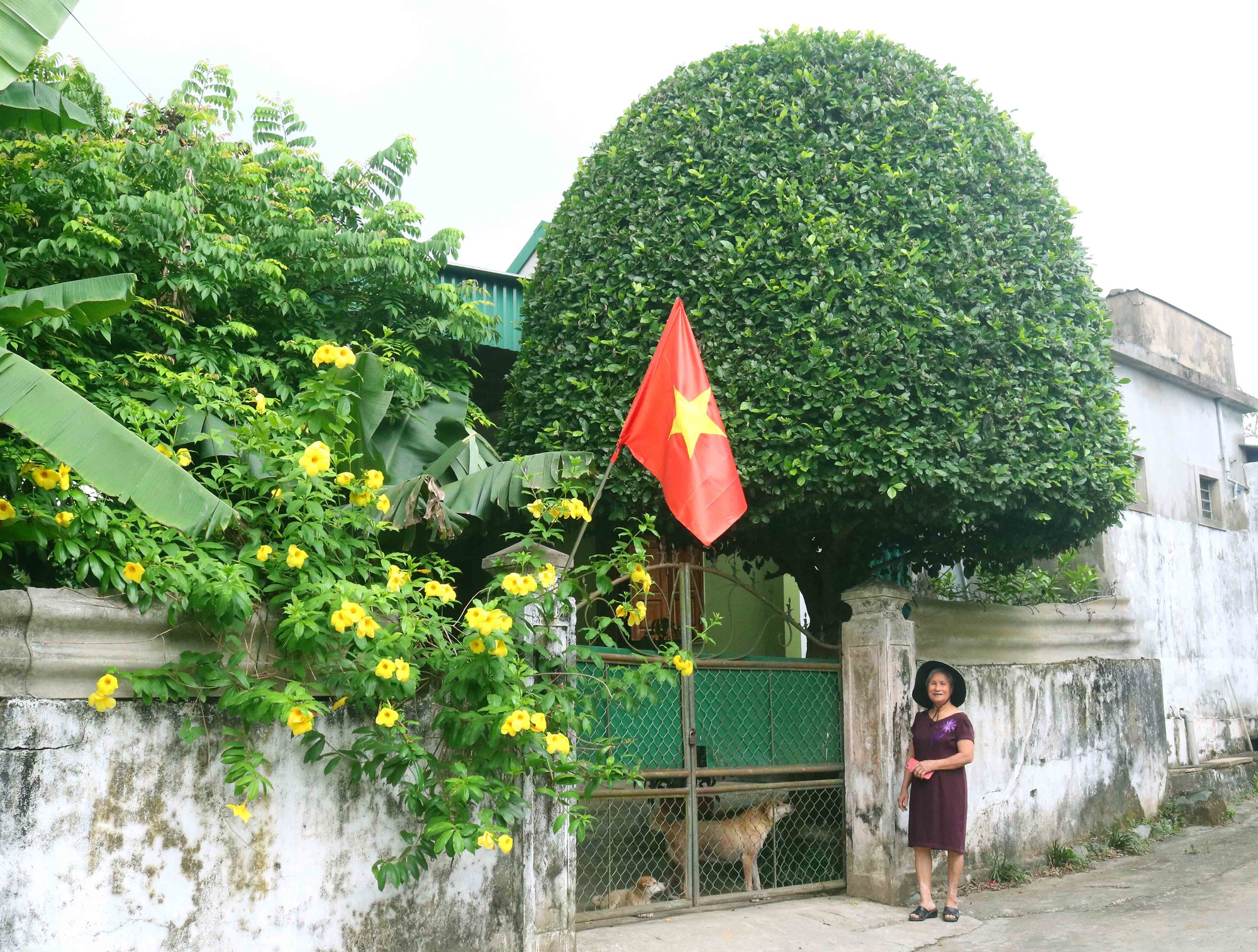 Cận cảnh nhà cổ ở làng quê xã Kim Liên của Nghệ An, có một nhà gỗ từ thời nhà Lê, đã gần 300 tuổi- Ảnh 1.