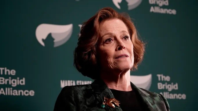 LHP Venice 2024 sẽ trao giải Thành tựu trọn đời cho nữ diễn viên Sigourney Weaver