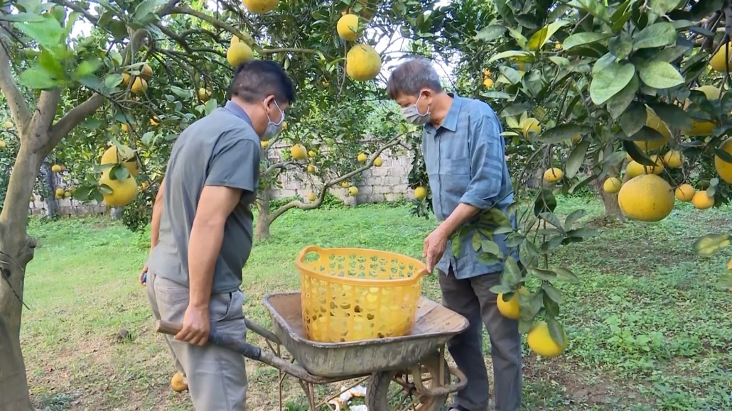 Nhờ hiệu quả của công tác dân tộc, chính sách dân tộc, vùng DTTS và miền núi TP. Thái Nguyên xuất hiện ngày càng nhiều các mô hình phát triển kinh tế hiệu quả.