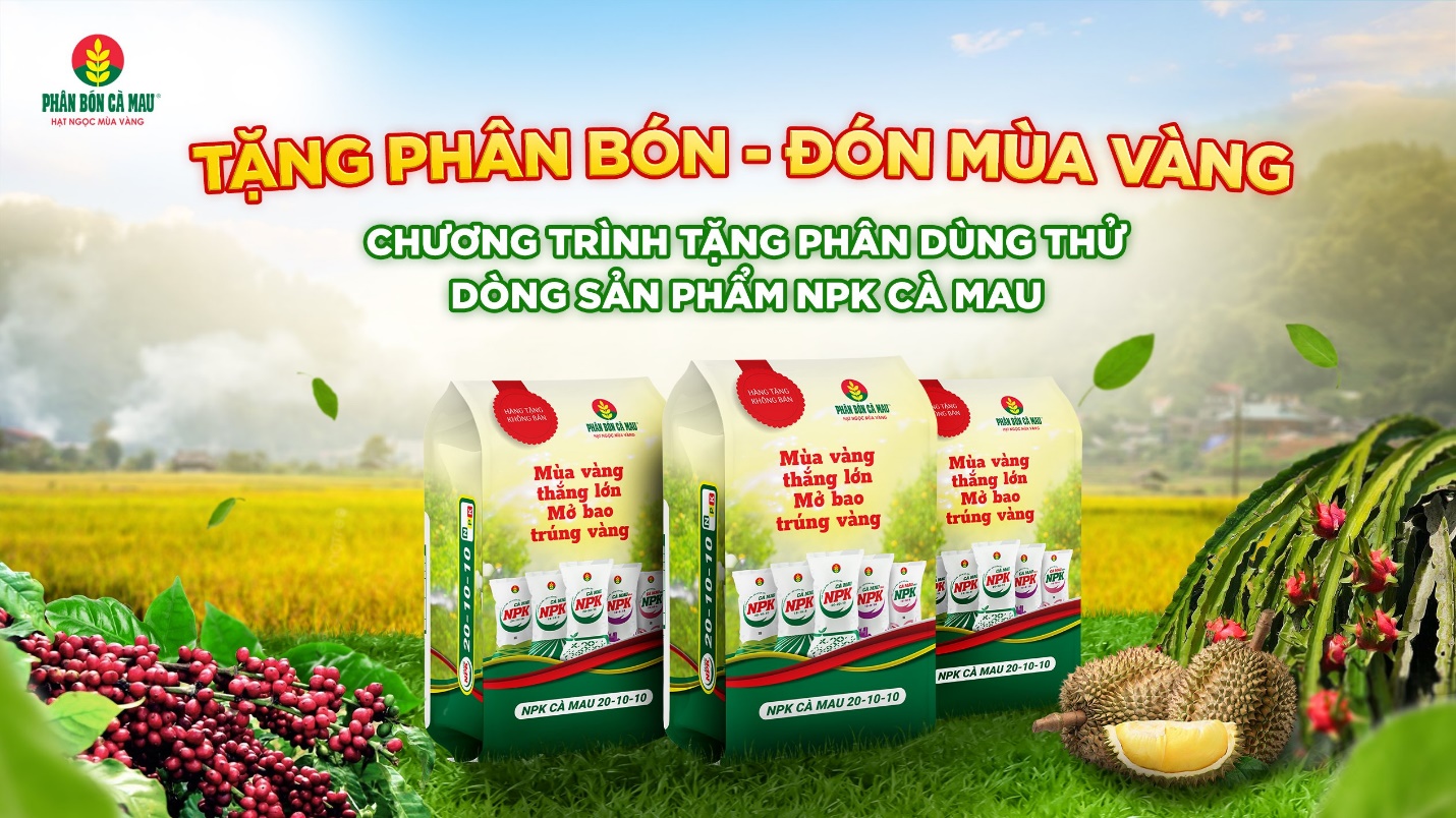 Phân bón Cà Mau đồng hành cùng nông dân: Tặng phân bón, đón mùa vàng- Ảnh 1.