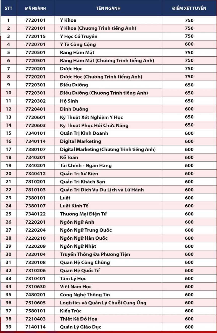 Thêm nhiều trường đại học ở TP.HCM công bố điểm xét tuyển- Ảnh 6.