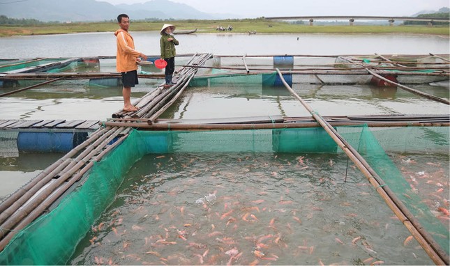 Thực hiện hiệu quả phong trào thi đua 'Vì người nghèo - Không để ai bị bỏ lại phía sau' ảnh 1