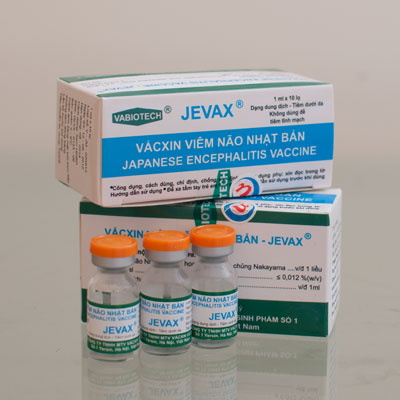 Tiêm 4 mũi vắc xin, vì sao vẫn mắc viêm não Nhật Bản?- Ảnh 1.