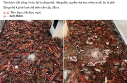 ថម ហ៊ុម ដេត